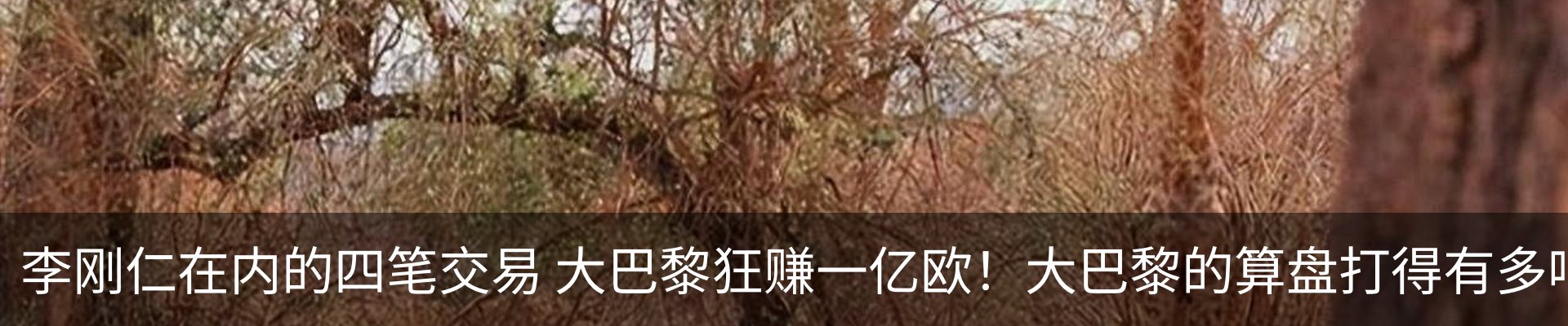 资讯中心