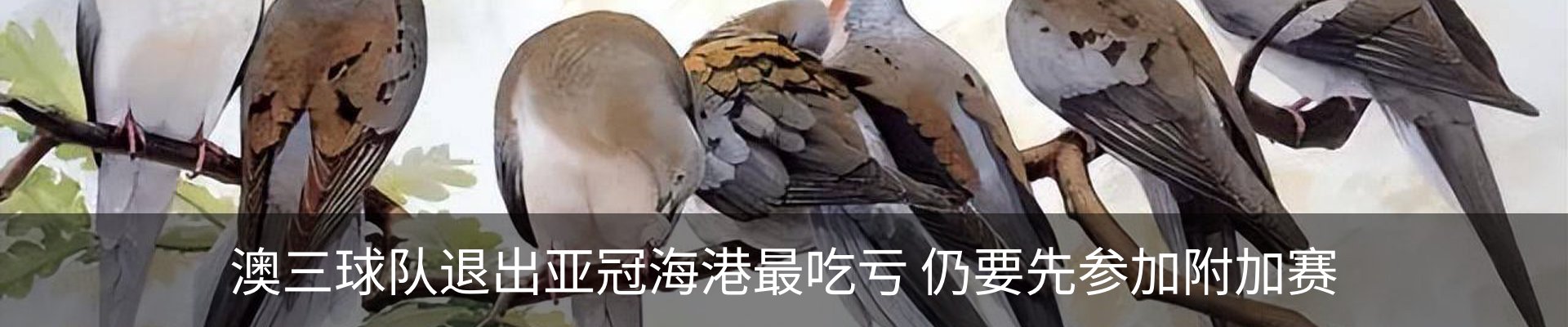 资讯中心